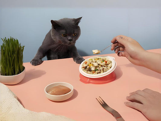 Ensuring pets are healthy and active: the importance of a balanced diet