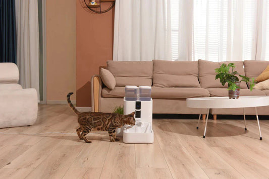 Can pet automatic water dispensers ensure automatic killing of bacteria