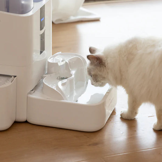 The disadvantages of pet automatic water dispensers are mainly reflected in the following aspects