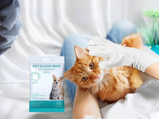 Disposable pet cleaning gloves: a convenient and efficient new choice for pet care