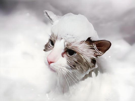 When choosing a pet showerhead, you can consider the following aspects to determine which one is better