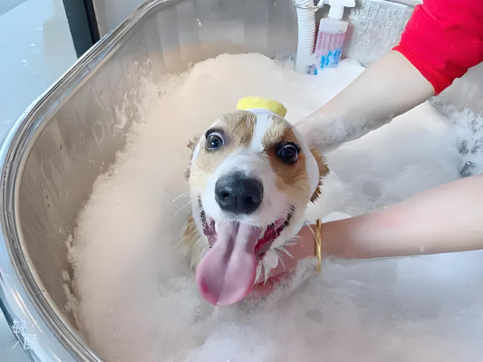 How often is the appropriate time to give pets a bath in summer