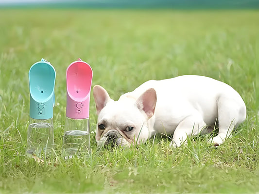 The appropriate capacity of outdoor water bottles for pet dogs depends on multiple factors, including the dog's body size, activity intensity, weather conditions, and travel time.