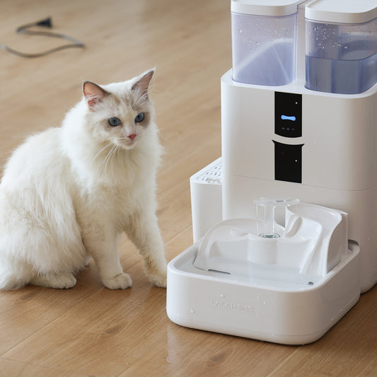 RealFountain DailyFresh Pet Fountain