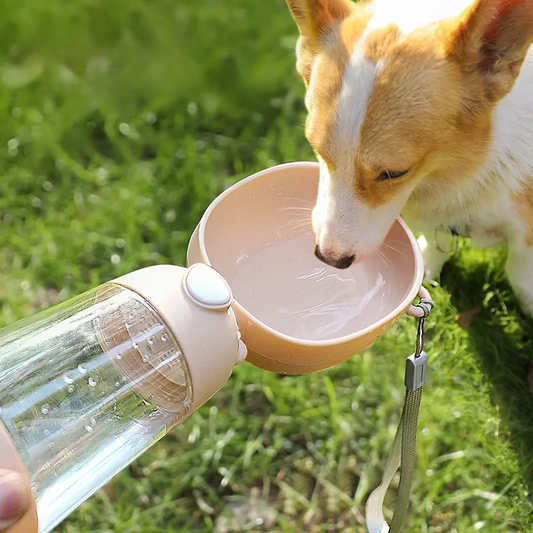 Pets Portable travel water bottle